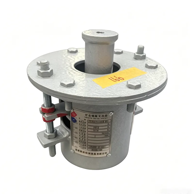 Gancio a molla standard ASME